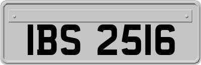 IBS2516