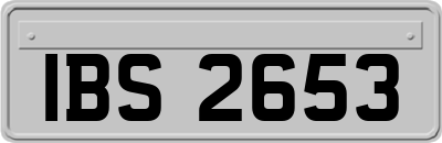IBS2653