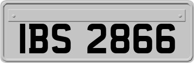 IBS2866