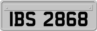 IBS2868