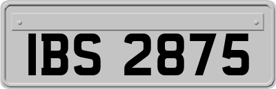 IBS2875