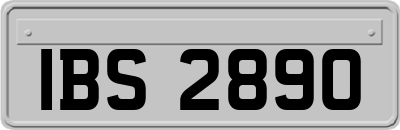 IBS2890