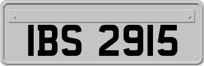 IBS2915
