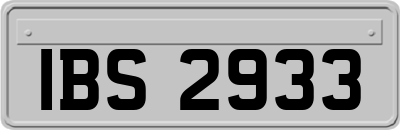 IBS2933