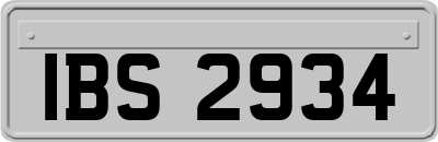 IBS2934