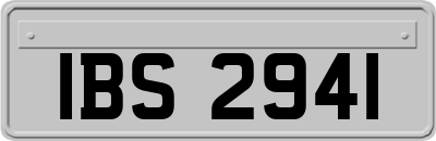 IBS2941