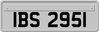 IBS2951