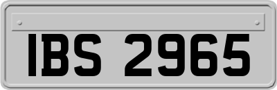 IBS2965