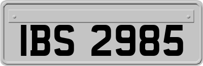 IBS2985