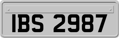 IBS2987