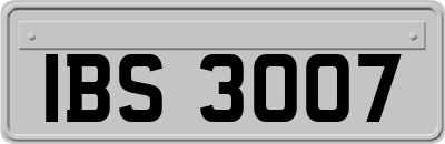 IBS3007