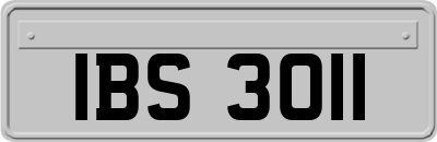 IBS3011