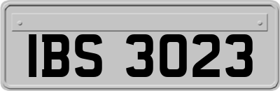 IBS3023