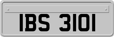 IBS3101