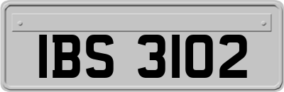 IBS3102