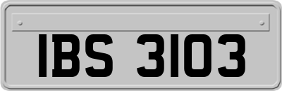 IBS3103