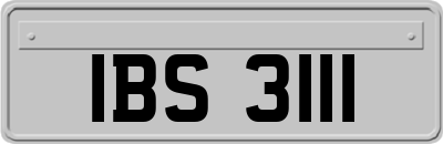 IBS3111
