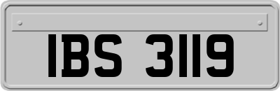 IBS3119