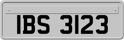 IBS3123