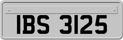 IBS3125