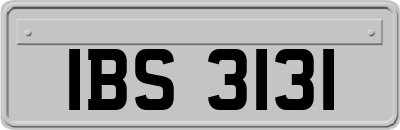 IBS3131