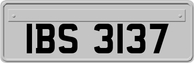IBS3137