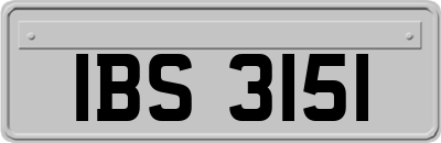 IBS3151
