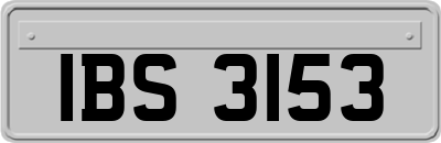 IBS3153