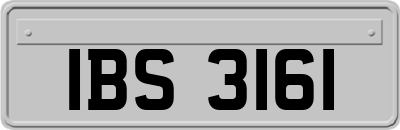 IBS3161