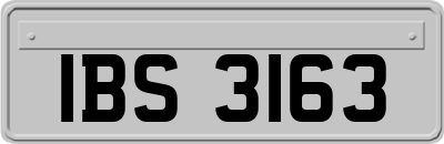 IBS3163