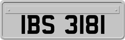 IBS3181
