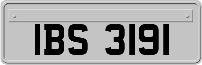 IBS3191