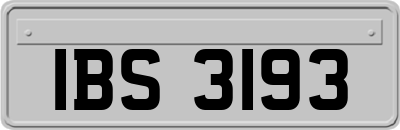 IBS3193
