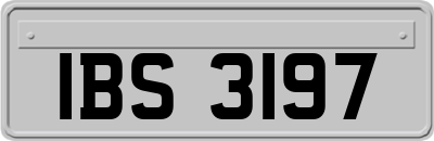 IBS3197