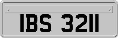 IBS3211