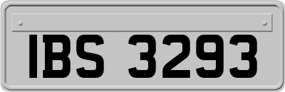 IBS3293
