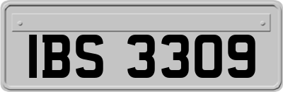 IBS3309