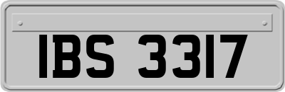 IBS3317