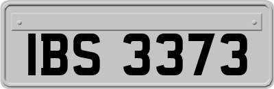 IBS3373