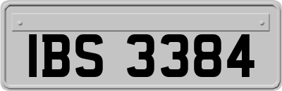IBS3384