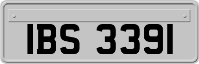 IBS3391