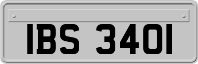 IBS3401