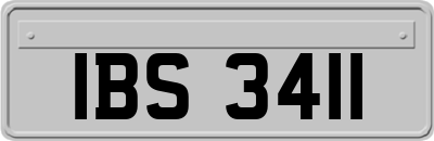 IBS3411