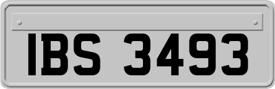 IBS3493