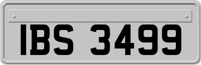 IBS3499
