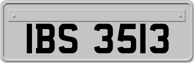 IBS3513