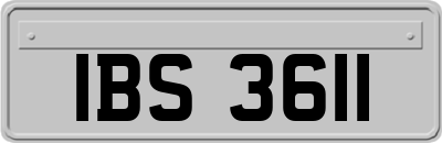 IBS3611