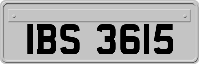 IBS3615