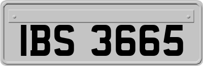 IBS3665