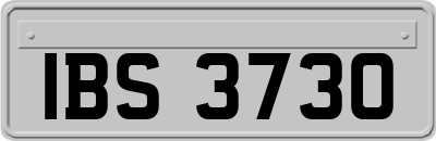 IBS3730